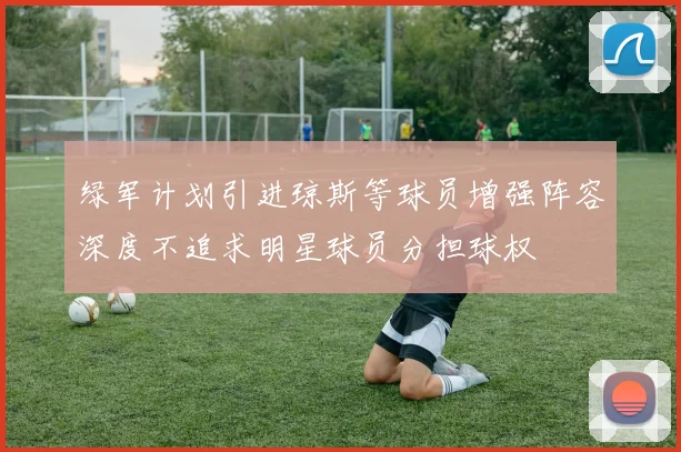 绿军计划引进琼斯等球员增强阵容深度不追求明星球员分担球权