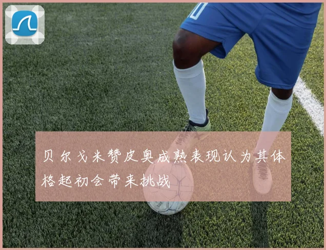 贝尔戈米赞皮奥成熟表现认为其体格起初会带来挑战