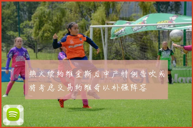 热火续约维金斯后中产特例告吹或将考虑交易约维奇以补强阵容