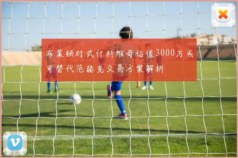 布莱顿对武什科维奇估值3000万或可替代范赫克交易方案解析
